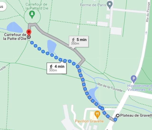 plan animation Polygone